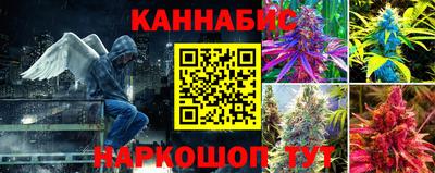 mdpv Донской