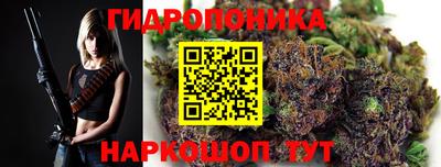 бошки Гусь-Хрустальный