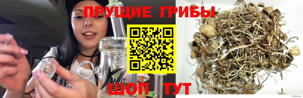 Галлюциногенные грибы Cubensis  Вход с VPN  Нефтеюганск 